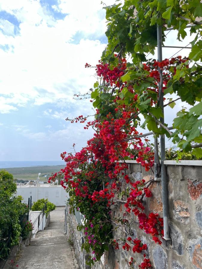 Villa Bella Vista - Near The Beach And Airport Dalaman Exteriör bild