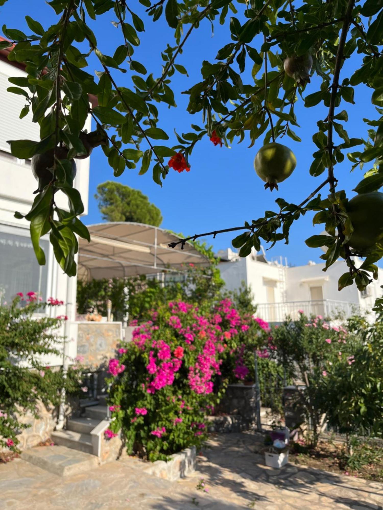 Villa Bella Vista - Near The Beach And Airport Dalaman Exteriör bild