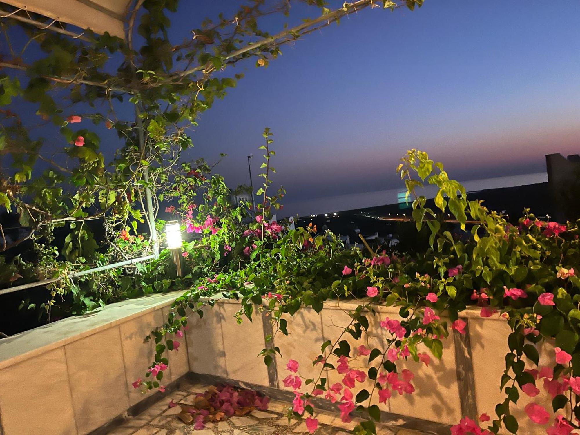 Villa Bella Vista - Near The Beach And Airport Dalaman Exteriör bild
